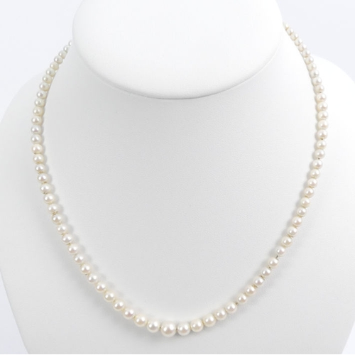 40B - A graduated cultured pearl necklace with a 9ct gold clasp, set with a garnet, 15 grams, 45 cm, large... 