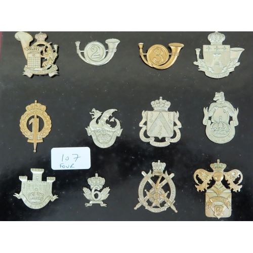 107 - Thirty-five 20thC European Armies cap badges mounted on boards