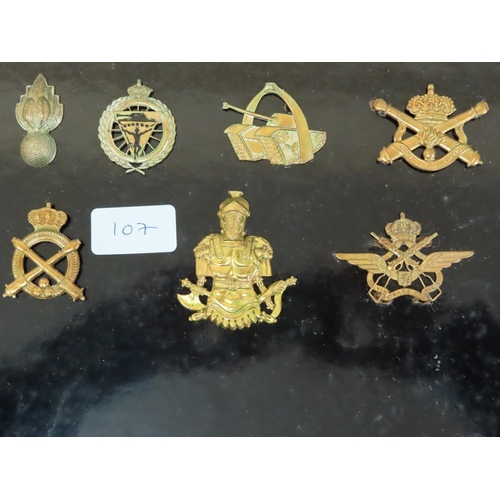 107 - Thirty-five 20thC European Armies cap badges mounted on boards