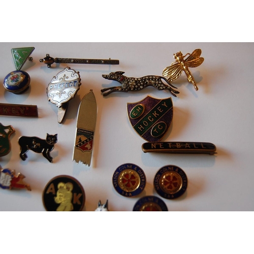 62 - Collection of badges