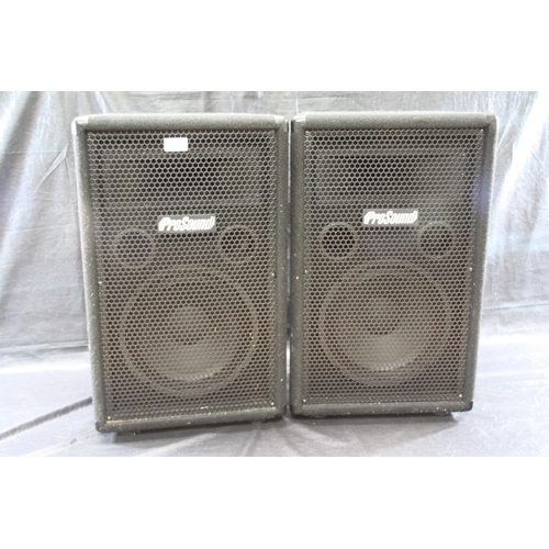59 - Pair of Pro Sound passive PA speakers 150W