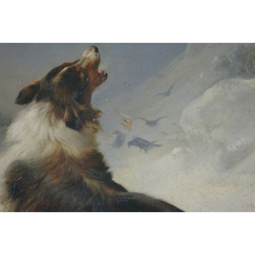 93 - Walter Hunt (1861-1941), Sheepdog and lamb in the snow, Oil on canvas, Signed and dated '95, 14 x 18... 