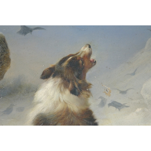 93 - Walter Hunt (1861-1941), Sheepdog and lamb in the snow, Oil on canvas, Signed and dated '95, 14 x 18... 