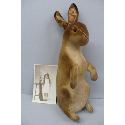 104 - Steiff 1920s/30s Peter Rabbit with lead button in the left ear, Height 12.5ins
Together with a photo... 