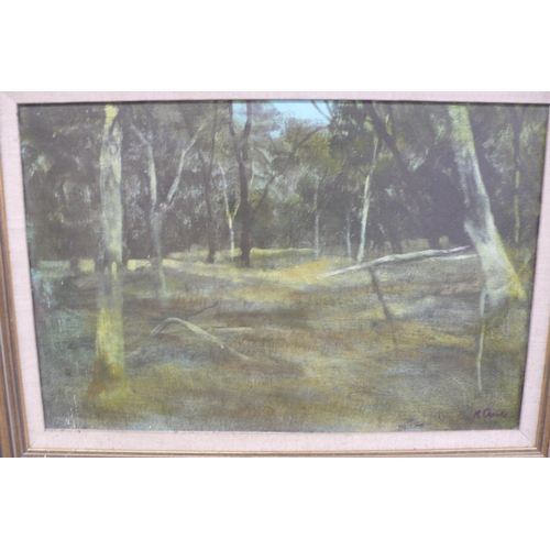 167 - Ray Crooke
Bush Country
Oil on Canvas Board
Signed
12x18ins
Exhib No.1412 16/6/74 No. 21