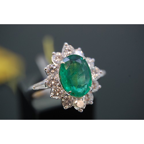 Lot 224       