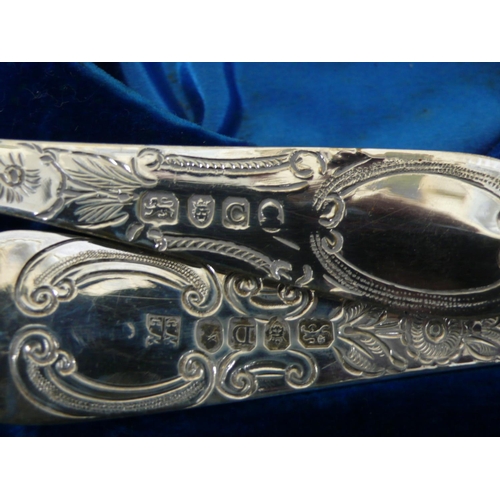 219 - Set of two Silver berry spoons, London 1798/9, William Eley & William Fern, 4ozt, Cased