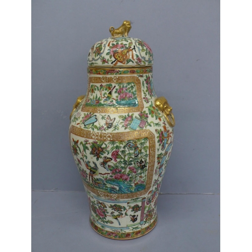 149 - Canton porcelain urn with cover having good decoration of birds, insects, flora and fauna. Lion dog ... 