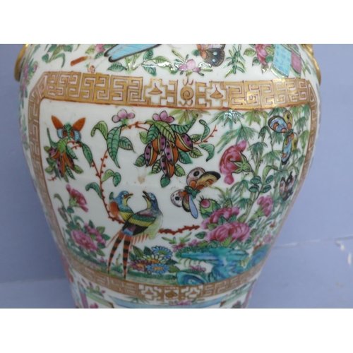 149 - Canton porcelain urn with cover having good decoration of birds, insects, flora and fauna. Lion dog ... 