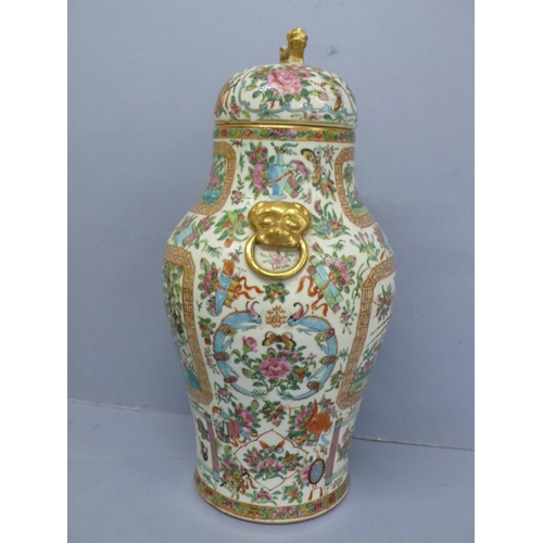 149 - Canton porcelain urn with cover having good decoration of birds, insects, flora and fauna. Lion dog ... 