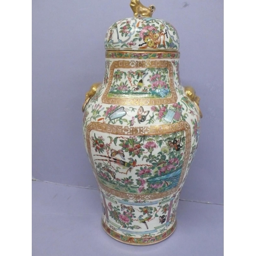 149 - Canton porcelain urn with cover having good decoration of birds, insects, flora and fauna. Lion dog ... 