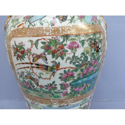 149 - Canton porcelain urn with cover having good decoration of birds, insects, flora and fauna. Lion dog ... 