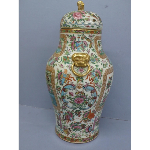 149 - Canton porcelain urn with cover having good decoration of birds, insects, flora and fauna. Lion dog ... 