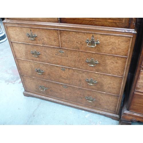 163 - Good quality burr walnut veneered tallboy with cupboards above two short and three long drawers, hei... 