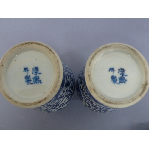 19 - Pair of 19thC Chinese blue and white porcelain urns with decoration of flora, fauna and insects. Fou... 