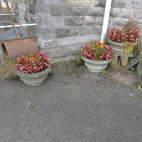 230 - 11 matching circular concrete flower planters & one similar planter (located outside)