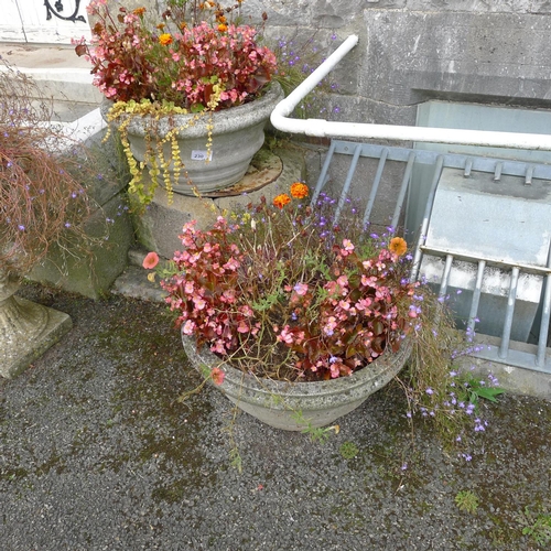 230 - 11 matching circular concrete flower planters & one similar planter (located outside)