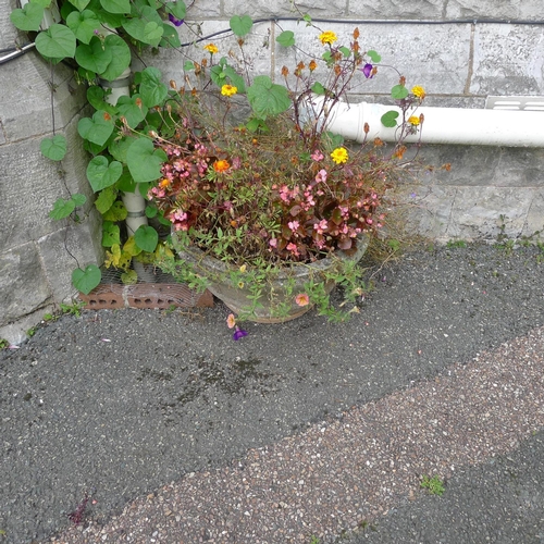 230 - 11 matching circular concrete flower planters & one similar planter (located outside)