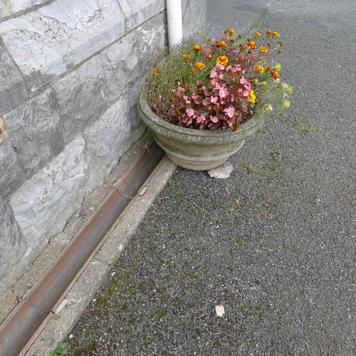 230 - 11 matching circular concrete flower planters & one similar planter (located outside)