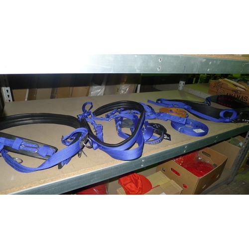 75 - A quantity of various equestrian harnesses etc. Contents of one shelf