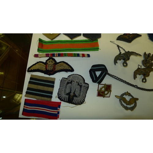 599 - A small quantity of various cap badges and military insignia relating to the Polish Free Airforce 30... 