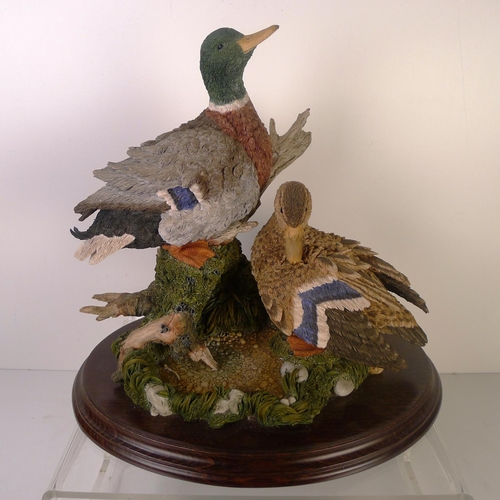 114 - A Country Artists group of 2 ducks, 32cm tall