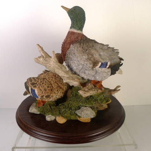 114 - A Country Artists group of 2 ducks, 32cm tall