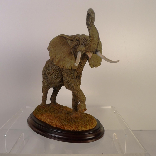 173 - A country artists bull elephant, 23 cm tall