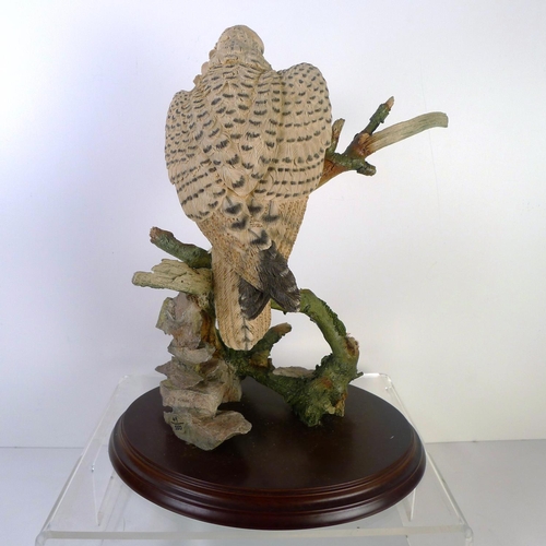 179 - A Country Artists white bird of prey, 34cm tall 