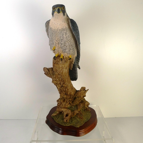 181 - A Wildtrak resin bird of prey, 45cm tall