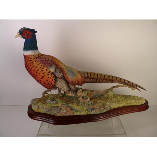 182 - A Border Fine Arts pheasant 