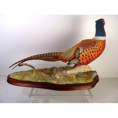 182 - A Border Fine Arts pheasant 