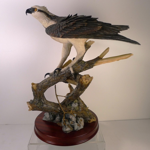 190 - A Border Fine Arts bird of prey, 51cm tall, 