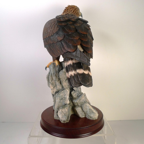 194 - A Border Fine Arts bird of prey, 48cm tall 