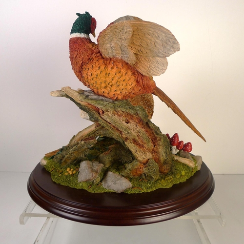 195 - A Country artists group of pheasants, 28cm tall, 