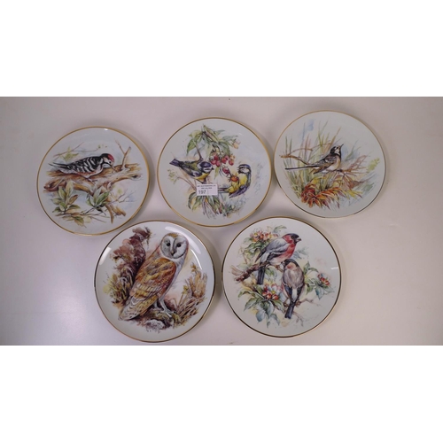 197 - A set of 5 pictorial bird plates