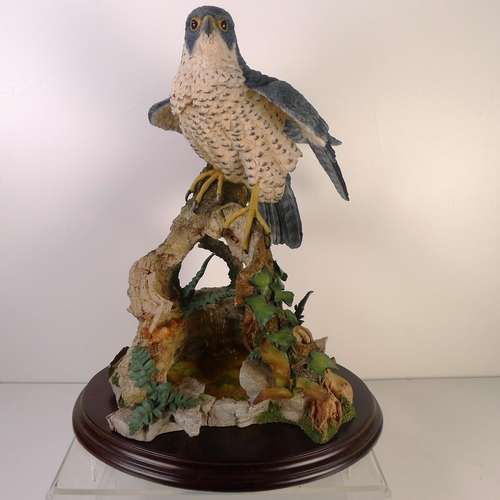 199 - A Country artists bird of prey, 41cm tall 