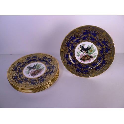 315 - 8 Caverswall butterfly decorated plates