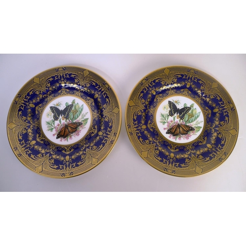 315 - 8 Caverswall butterfly decorated plates