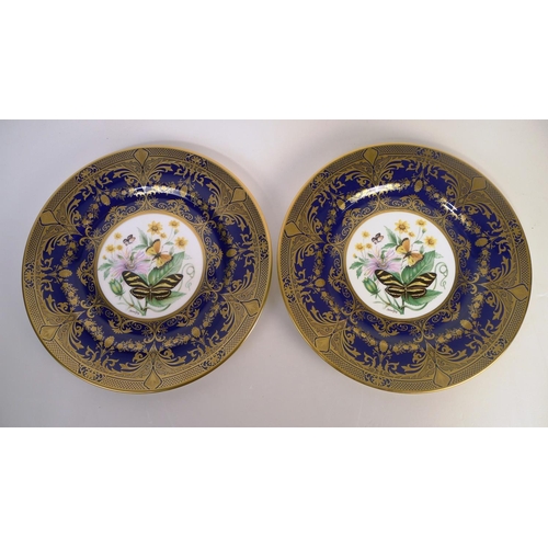 315 - 8 Caverswall butterfly decorated plates