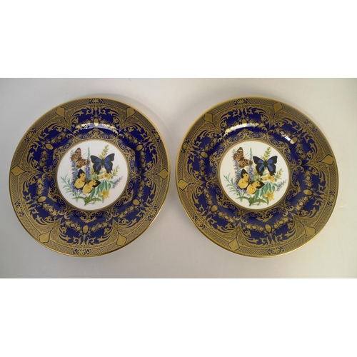 315 - 8 Caverswall butterfly decorated plates