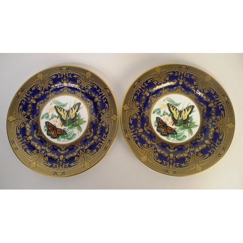 315 - 8 Caverswall butterfly decorated plates