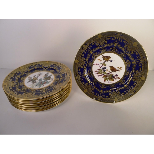 319 - 12 Caverswall bird decorative wall plates