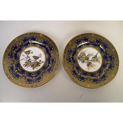 319 - 12 Caverswall bird decorative wall plates