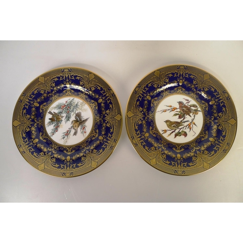 319 - 12 Caverswall bird decorative wall plates