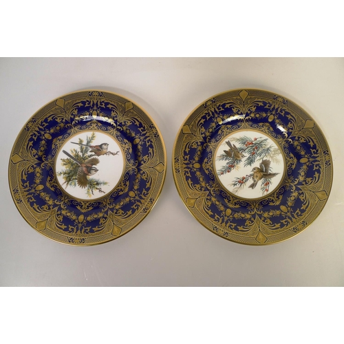 319 - 12 Caverswall bird decorative wall plates