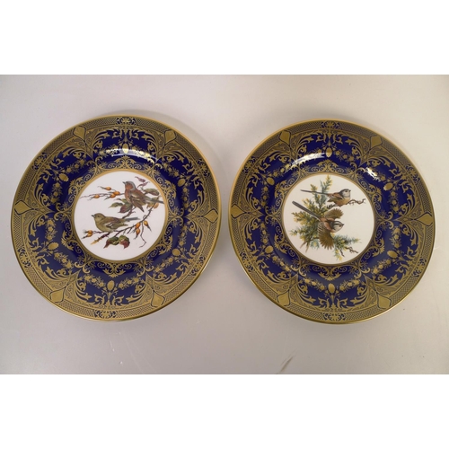 319 - 12 Caverswall bird decorative wall plates