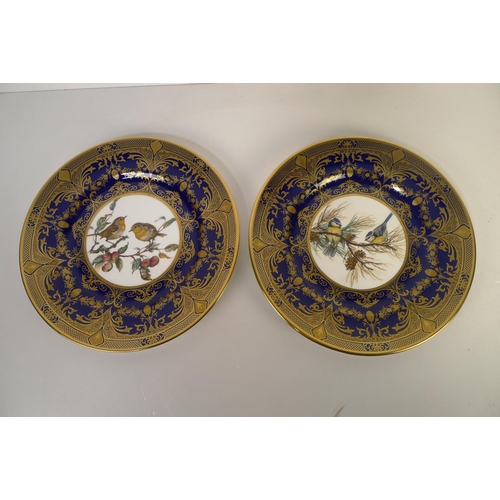 319 - 12 Caverswall bird decorative wall plates