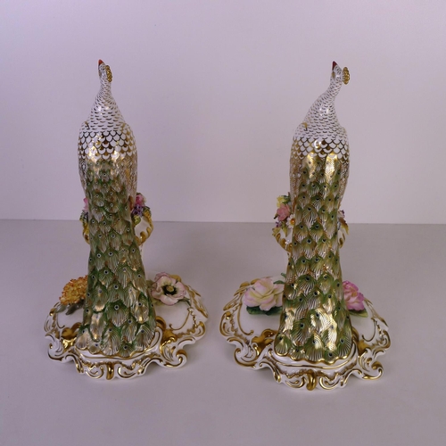 372 - A pair of Royal Crown Derby peacocks, 24cm tall, with boxes