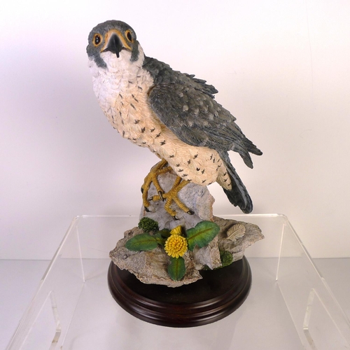 75 - A Country Artists grey kestrel, 24cm tall